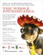 The San Francisco SPCA Presents “The Whole Enchihuahua” Event on June...